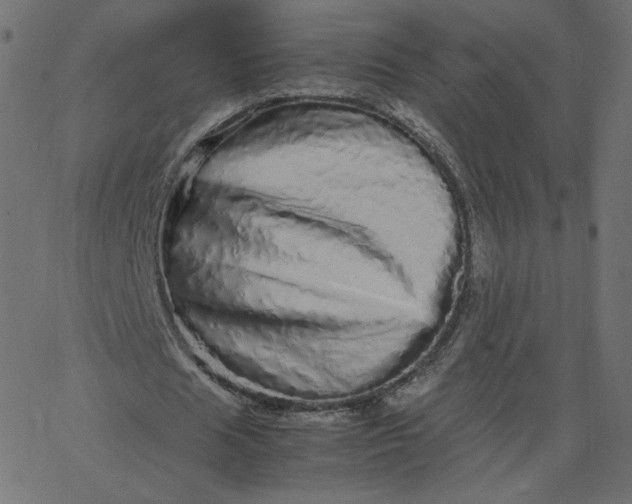 X0000067850625200604271646