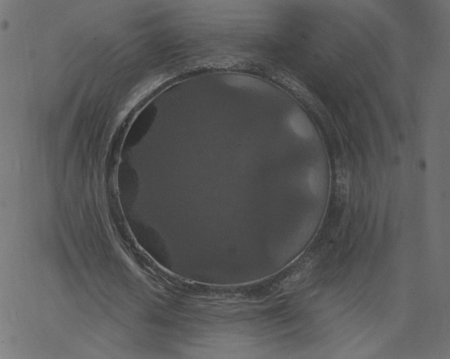 X0000067850626200604271646