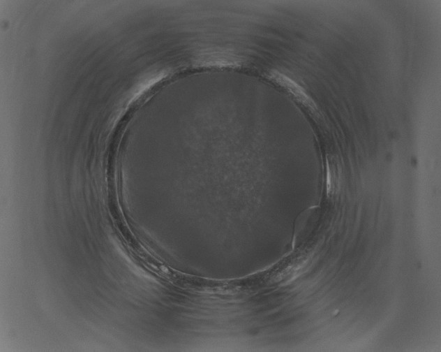 X0000067850627200604271646