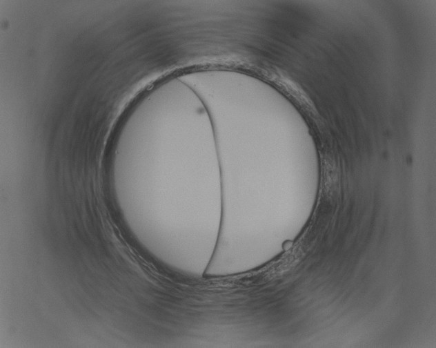 X0000067850628200604271646