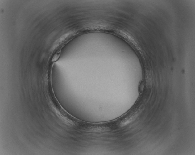 X0000067850629200604271646