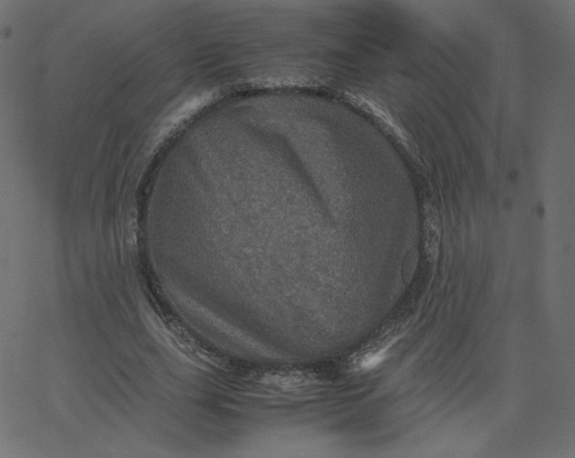 X0000067850631200604271646