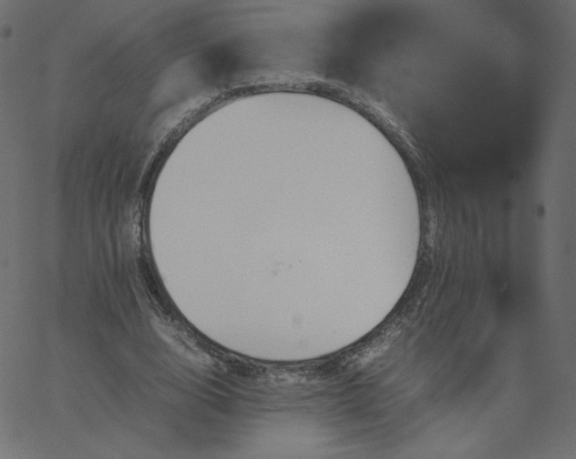 X0000067850632200604271646