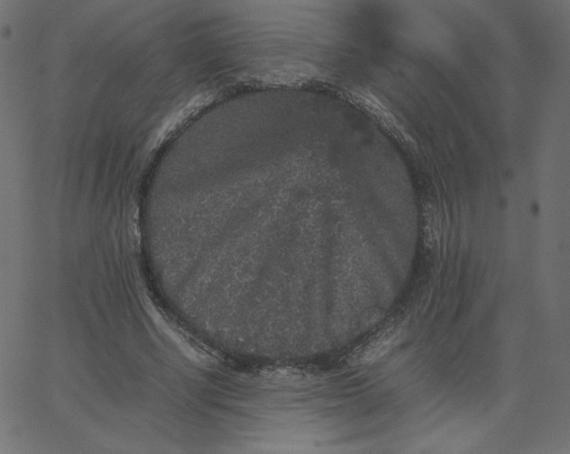 X0000067850634200604271646