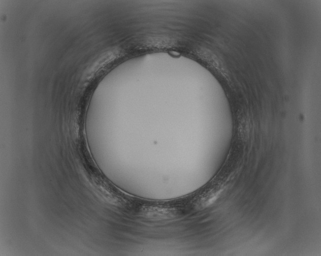 X0000067850635200604271646