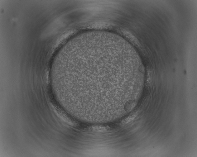 X0000067850636200604271646