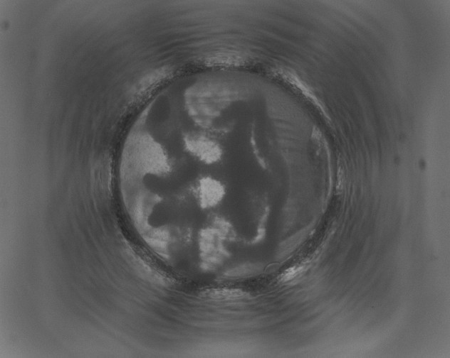 X0000067850637200604271646