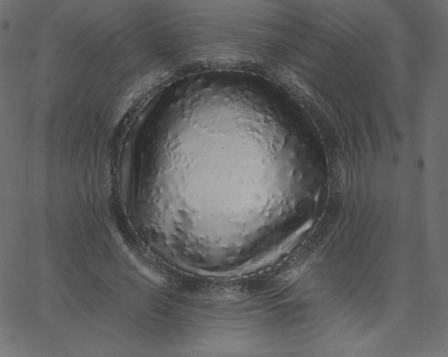 X0000067850638200604271646