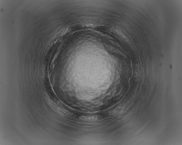 X0000067850639200604271646