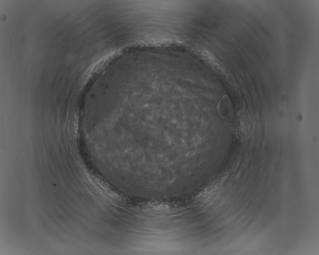 X0000067850640200604271646