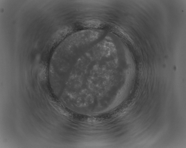 X0000067850641200604271646