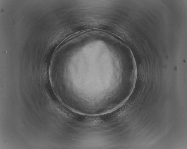 X0000067850642200604271646