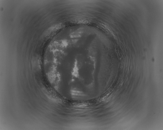 X0000067850643200604271646