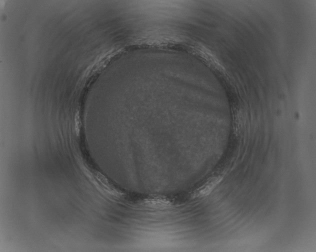 X0000067850644200604271646