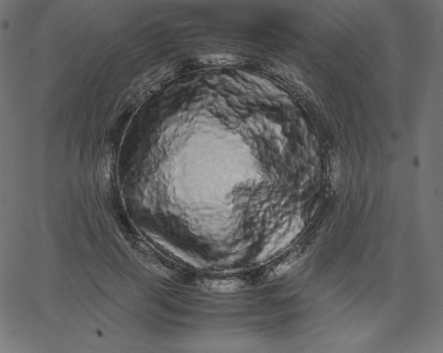 X0000067850645200604271646