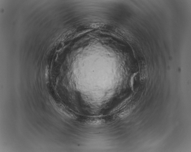 X0000067850646200604271646