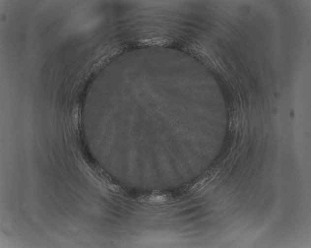 X0000067850647200604271646