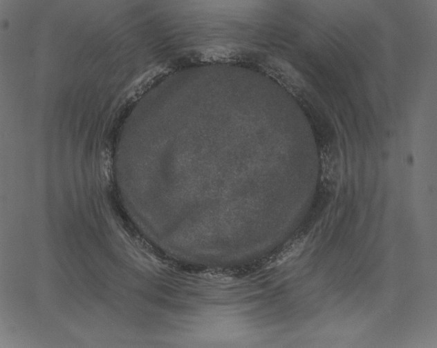 X0000067850648200604271646