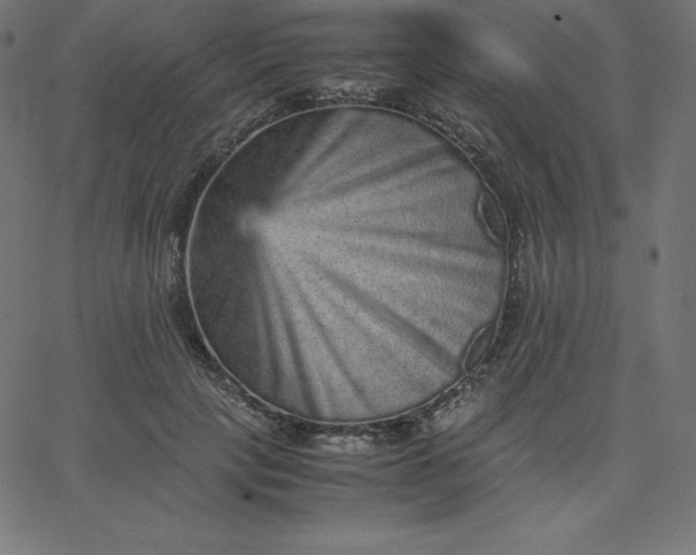 X0000067850649200604271646