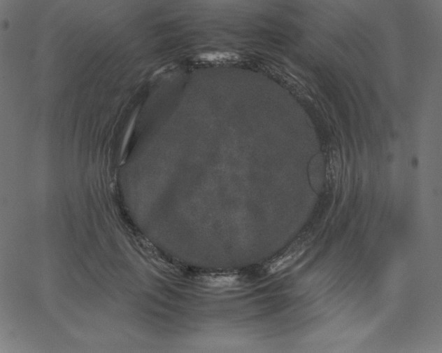 X0000067850651200604271646