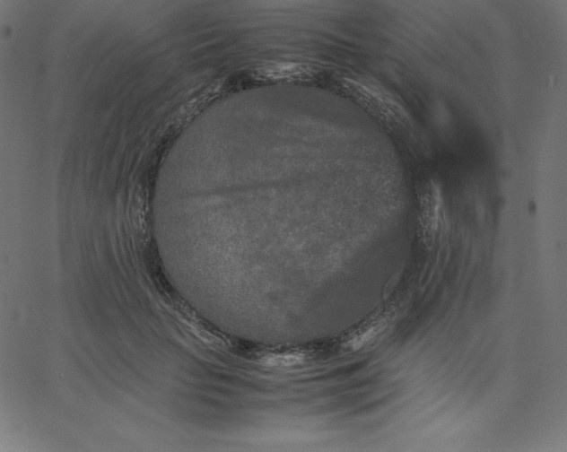 X0000067850653200604271646