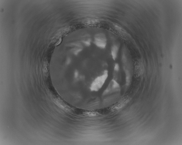 X0000067850654200604271646