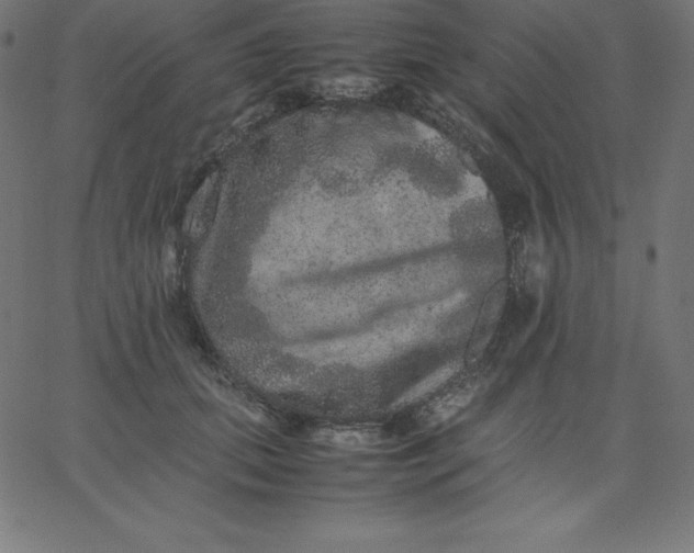 X0000067850655200604271646