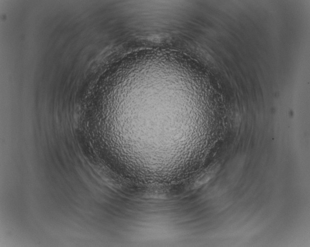 X0000067850656200604271646