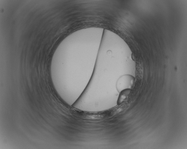 X0000067850657200604271646