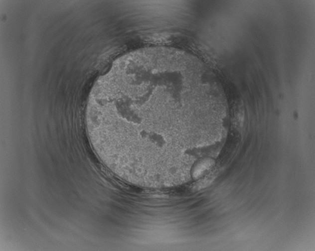 X0000067850658200604271646