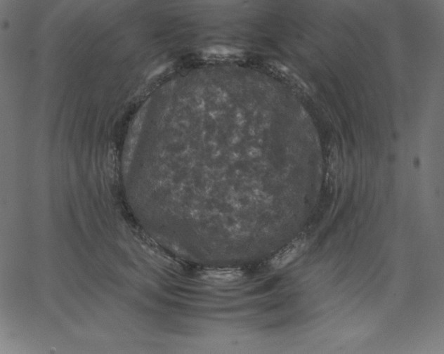 X0000067850659200604271646