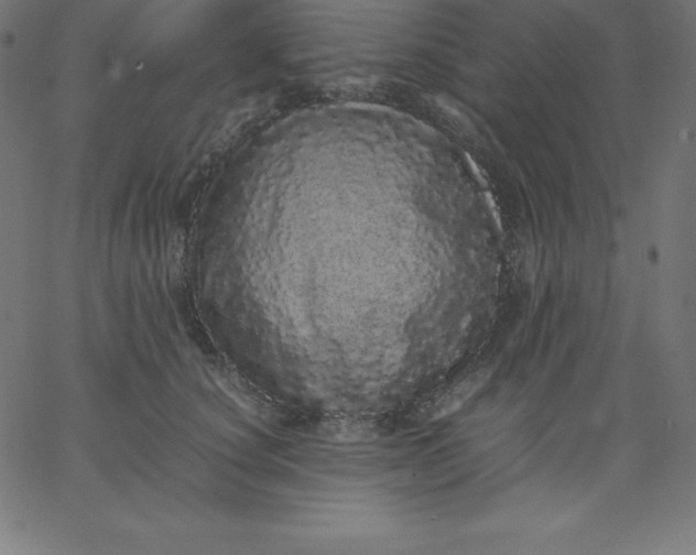 X0000067850660200604271646