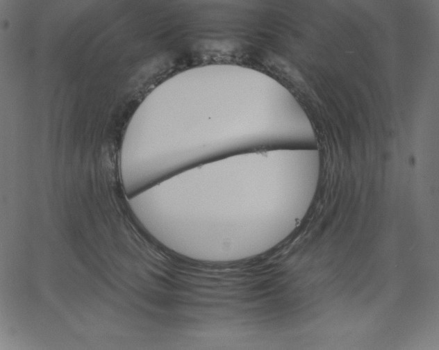 X0000067850661200604271646