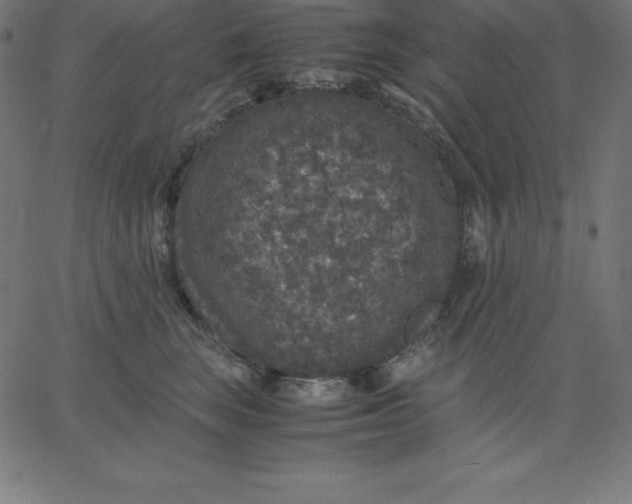 X0000067850663200604271646