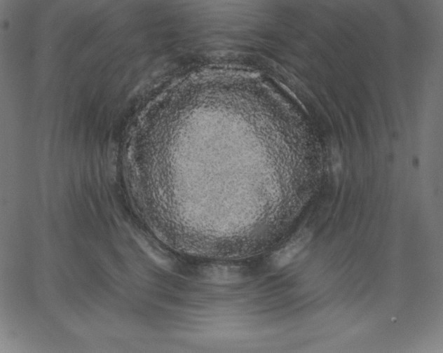 X0000067850664200604271646