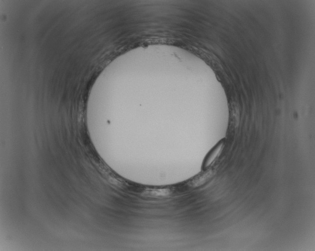 X0000067850665200604271646