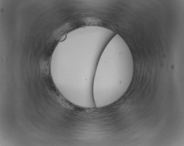 X0000067850666200604271646