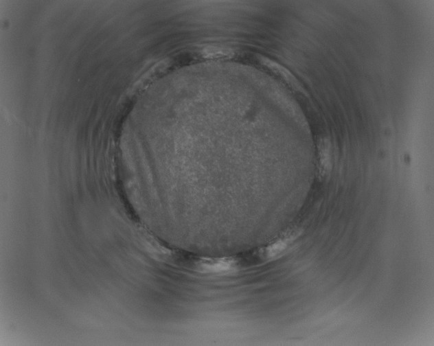 X0000067850667200604271646