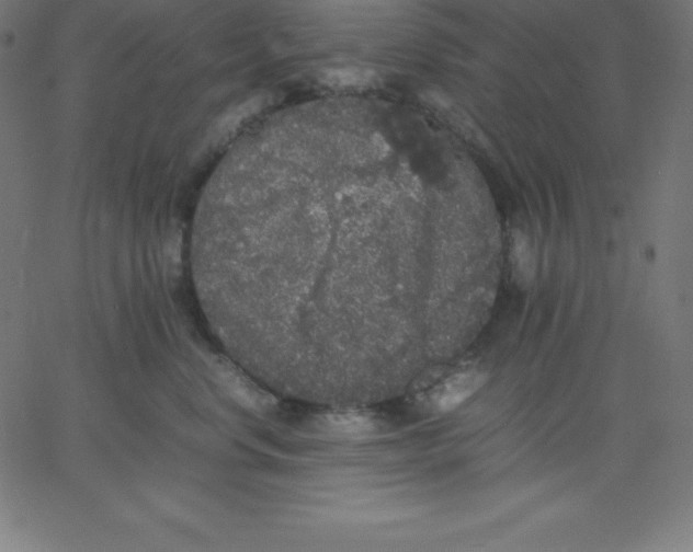 X0000067850668200604271646