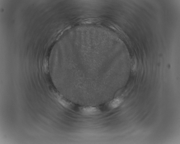 X0000067850669200604271646