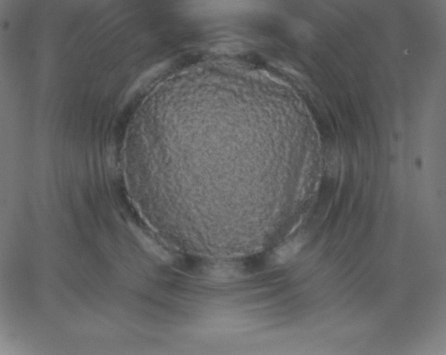 X0000067850670200604271646