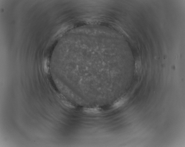 X0000067850671200604271646