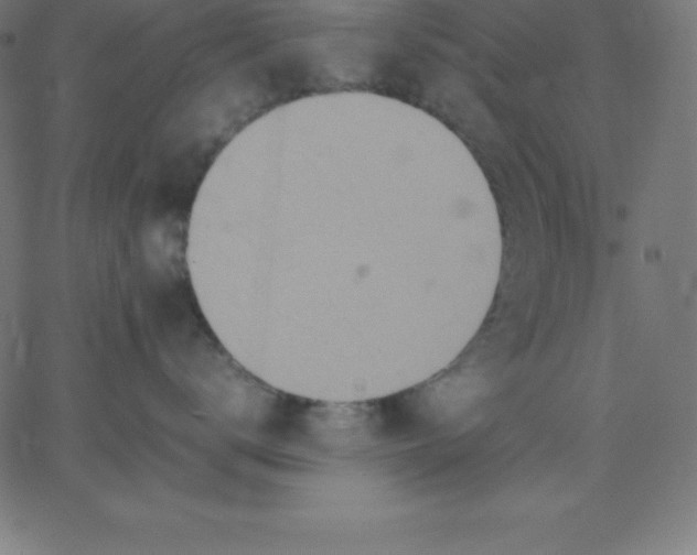 X0000067850672200604271646