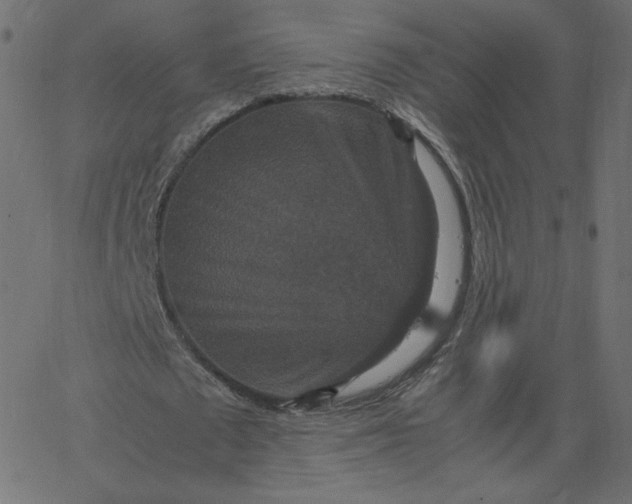 X0000067850673200604271646