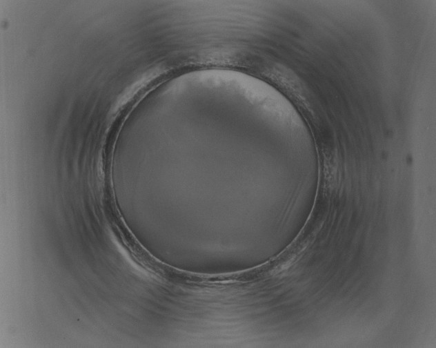 X0000067850674200604271646