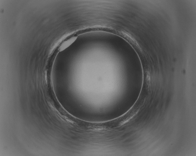 X0000067850676200604271646