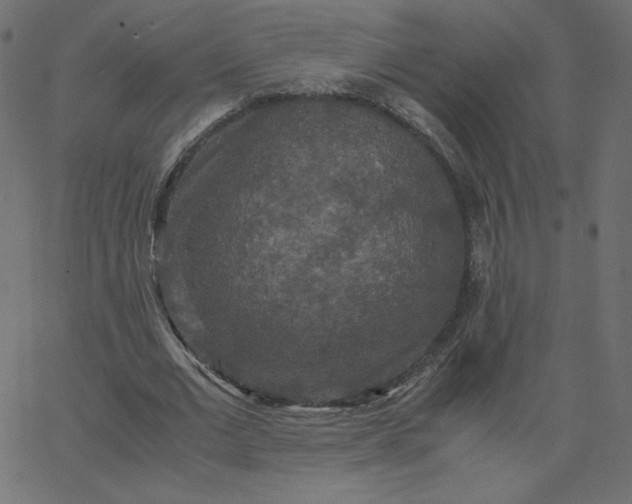 X0000067850677200604271646