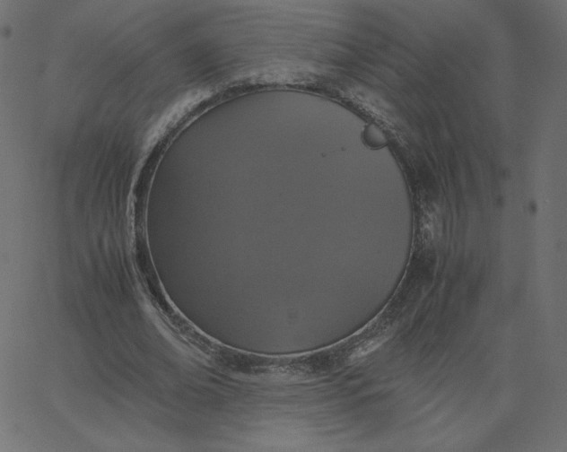 X0000067850678200604271646