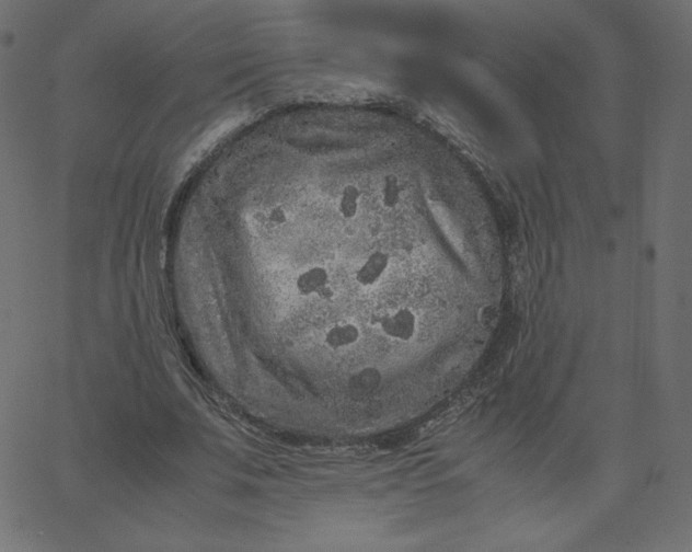 X0000067850679200604271646