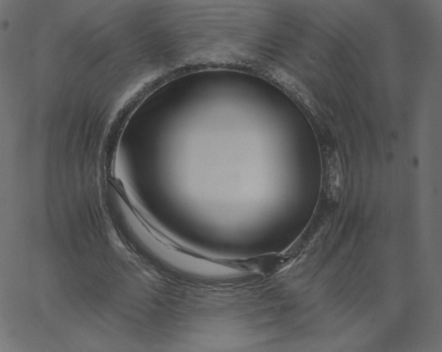 X0000067850680200604271646